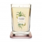 Preview: Yankee Candle Citrus Grove 2-Docht 552 g